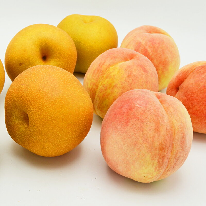 【ふるさと納税】白桃と和梨の詰合せ 秀品 約3kg(6〜12玉)【令和8年産先行予約】FS24-817くだもの 果物 フルーツ 山形 山形県 山形市 お取り寄せ 先行予約 2026年産 サムネイル2