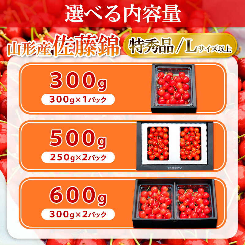 【ふるさと納税】 山形県産 さくらんぼ「佐藤錦」300g 500g 600g 特秀品 Lサイズ以上 【令和8年産先行予約】FS24-805 サムネイル3