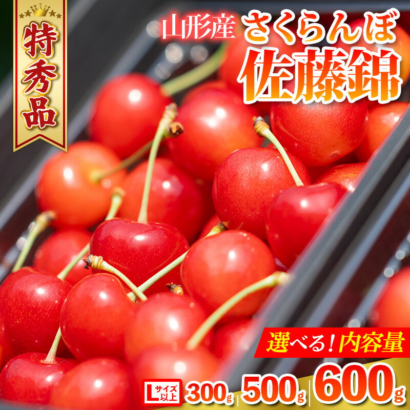 山形県産 さくらんぼ「佐藤錦」300g 500g 600g 特秀品 Lサイズ以上 【令和8年産先行予約】FS24-805