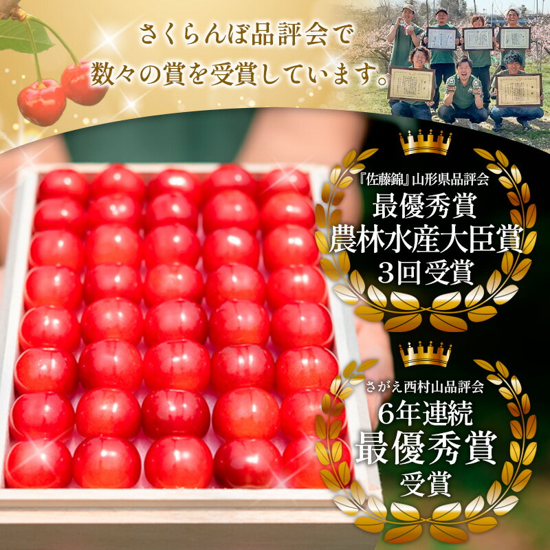 【ふるさと納税】さくらんぼ 「佐藤錦」500g Lサイズ以上 山形産【令和8年産先行予約】 FS25-927 サムネイル3