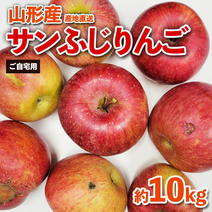 【ご自宅用】山形産サンふじりんご　約10kg(26〜56玉) FZ26-746