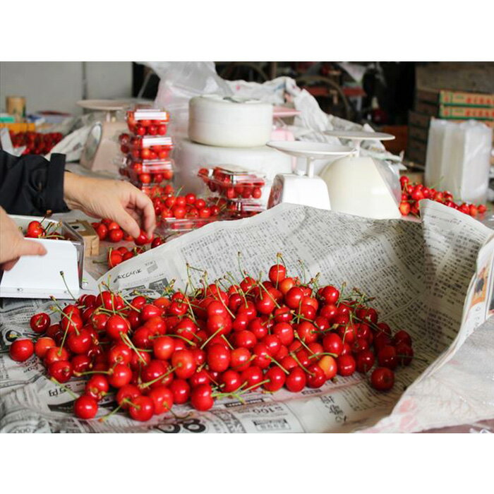 【ふるさと納税】★母の日★山形さくらんぼ 佐藤錦 300g 特秀品 Lサイズ スリーヴ化粧箱(5/4〜5/10着) 【令和8年産先行予約】FU19-723 くだもの 果物 フルーツ 山形 山形県 山形市 お取り寄せ 2026年産 サムネイル3