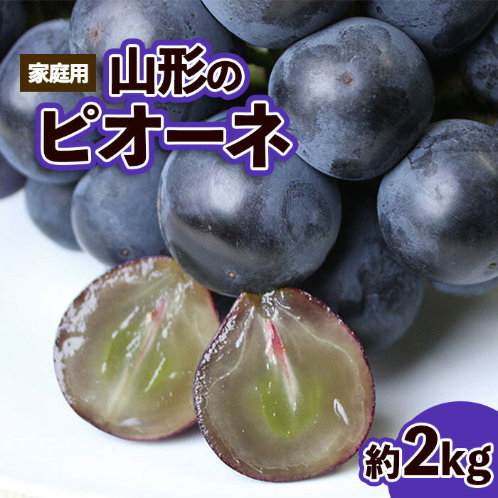 【ご家庭用】山形のピオーネ 優品 約2kg(2〜6房)発送月を選べる【令和8年産先行予約】FS23-644くだもの 果物 フルーツ 山形 山形県 山形市 お取り寄せ 先行予約 2026年産