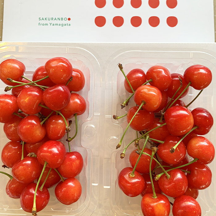 【ふるさと納税】【定期便3回】農家さんおすすめ 〜人気くだものトップ3！【令和8年産先行予約】FU23-702 くだもの 果物 フルーツ 山形 山形県 山形市 お取り寄せ 2026年産 サムネイル2