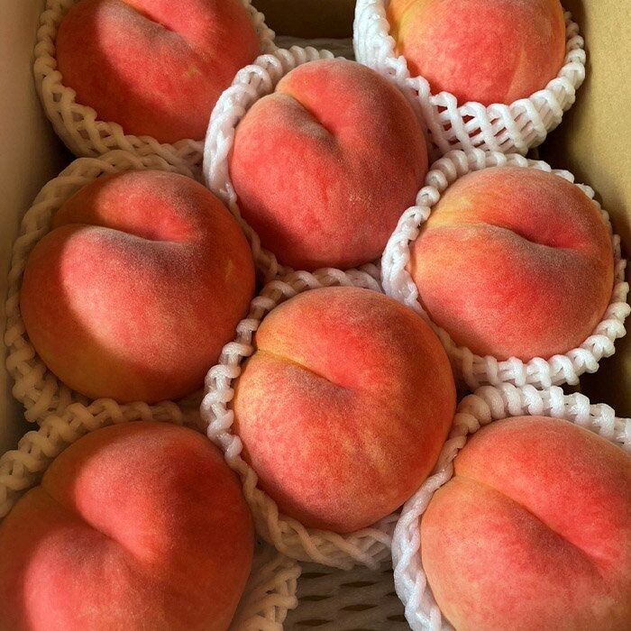 【ふるさと納税】【定期便3回】農家さんおすすめ 〜人気くだものトップ3！【令和8年産先行予約】FU23-702 くだもの 果物 フルーツ 山形 山形県 山形市 お取り寄せ 2026年産 サムネイル3