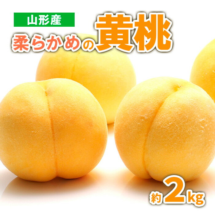 山形産　柔らかめの黄桃 約2kg (4〜9玉) 秀品 【令和8年産先行予約】 FS23-718 くだもの 果物 フルーツ 山形 山形県 山形市 お取り寄せ 2026年産