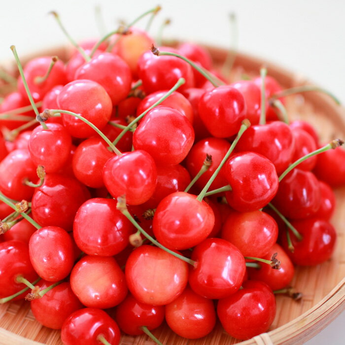 【ふるさと納税】【定期便3回】山形の果物トップ3 【令和8年産先行予約】FS25-610 くだもの 果物 フルーツ 山形 山形県 山形市 お取り寄せ 2026年産 サムネイル3