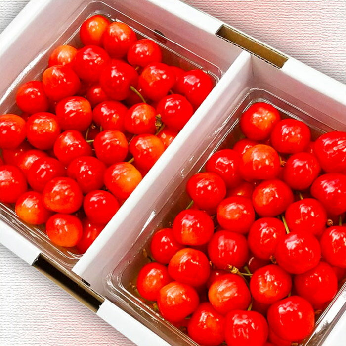 【ふるさと納税】【定期便3回】山形市の至高！山形市厳選フルーツ定期便【令和8年産先行予約】FS24-587くだもの 果物 フルーツ 山形 山形県 山形市 お取り寄せ 先行予約 2026年産 サムネイル2