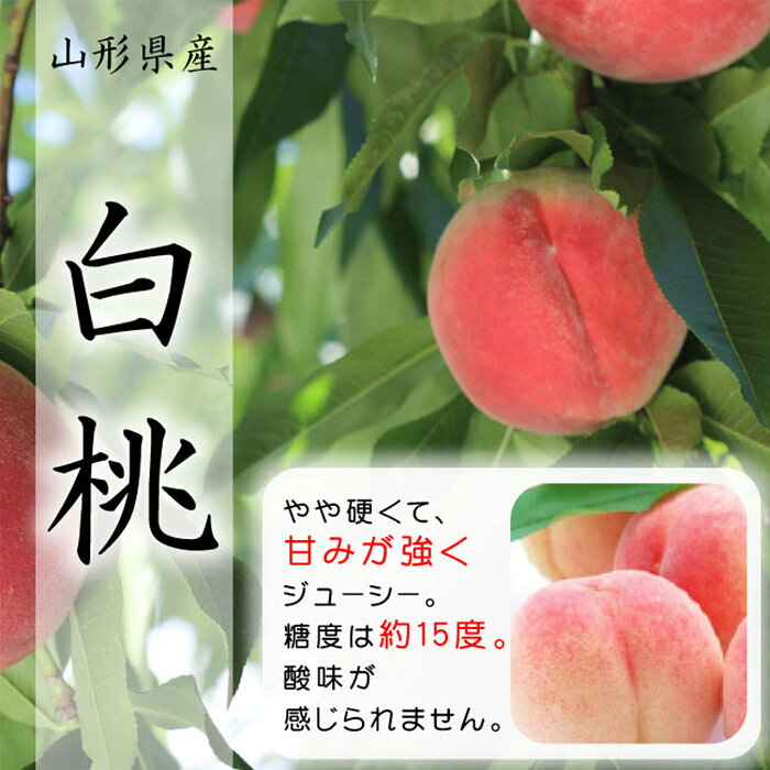 【ふるさと納税】【定期便3回】山形市の至高！山形市厳選フルーツ定期便【令和8年産先行予約】FS24-587くだもの 果物 フルーツ 山形 山形県 山形市 お取り寄せ 先行予約 2026年産 サムネイル3