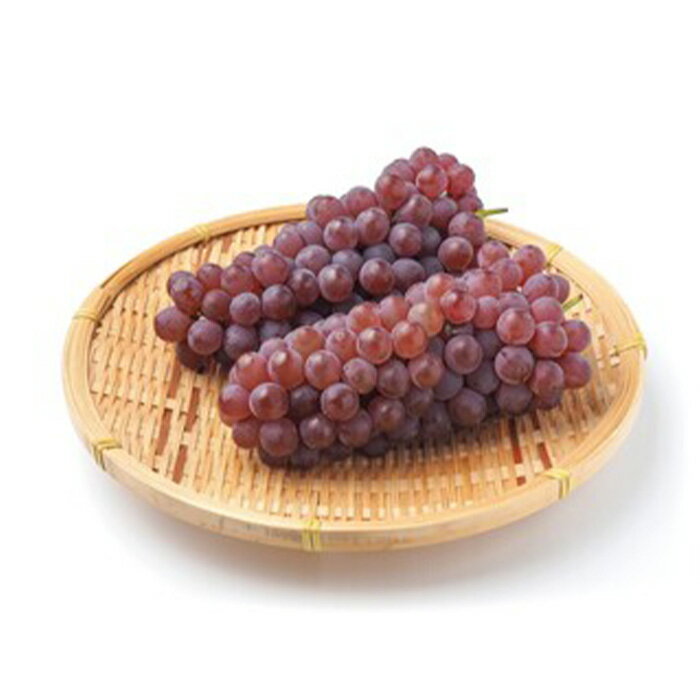 【ふるさと納税】【定期便3回】やまがた フルーツ定期便 ”最上” 山形名物フルーツ [佐藤錦・デラウェア・やや硬め白桃] 【令和8年産先行予約】FS25-630 くだもの 果物 フルーツ 山形 山形県 山形市 お取り寄せ 2026年産 サムネイル3