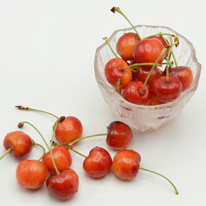 【ふるさと納税】山形のハウスさくらんぼ 紅秀峰 720g(180g×4パック) Lサイズ以上 【令和8年産先行予約】FS25-511 くだもの 果物 フルーツ 山形 山形県 山形市 お取り寄せ 2026年産 サムネイル3