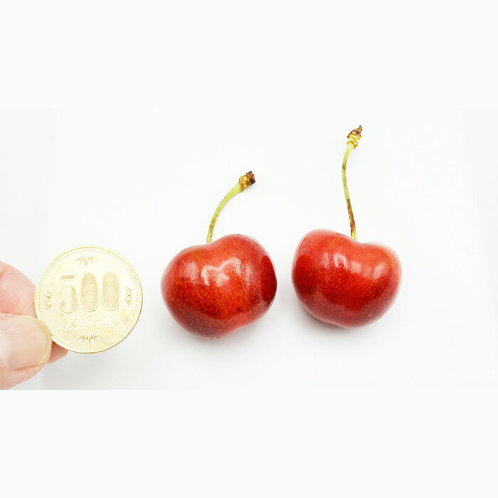 【ふるさと納税】さくらんぼ やまがた紅王 720g(180g×4パック) 2Lサイズ以上 【令和8年産先行予約】FS25-528 くだもの 果物 フルーツ 山形 山形県 山形市 お取り寄せ 2026年産 サムネイル2