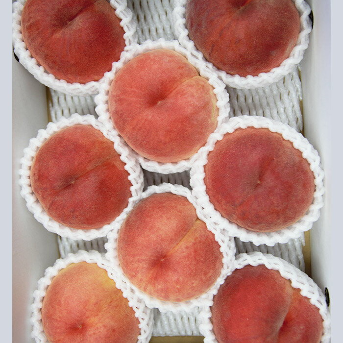 【ふるさと納税】【定期便4回】山形のすっごく美味しい果物定期便 【令和8年産先行予約】FU23-767 くだもの 果物 フルーツ 山形 山形県 山形市 お取り寄せ 2026年産 サムネイル3