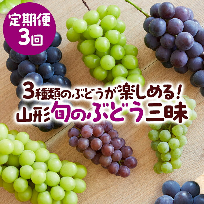 【定期便3回】3種類のぶどうが楽しめる！山形 旬のぶどう三昧 【令和8年産先行予約】FS25-659 くだもの 果物 フルーツ 山形 山形県 山形市 お取り寄せ 2026年産