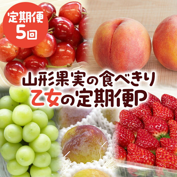 【定期便5回】山形果実の食べきり[乙女の定期便P] 【令和8年産先行予約】FS25-658 くだもの 果物 フルーツ 山形 山形県 山形市 お取り寄せ 2026年産