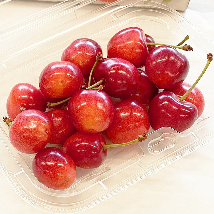 【ふるさと納税】【定期便5回】山形果実の食べきり[乙女の定期便P] 【令和8年産先行予約】FS25-658 くだもの 果物 フルーツ 山形 山形県 山形市 お取り寄せ 2026年産 サムネイル2