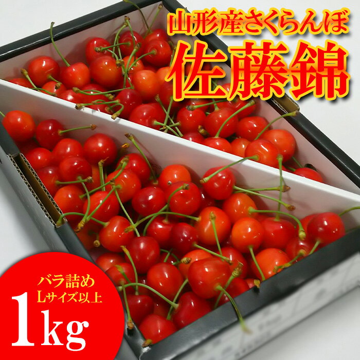 山形産 さくらんぼ 佐藤錦 1kg バラ詰め L以上 【令和8年産先行予約】FS25-501 くだもの 果物 フルーツ 山形 山形県 山形市 お取り寄せ 2026年産