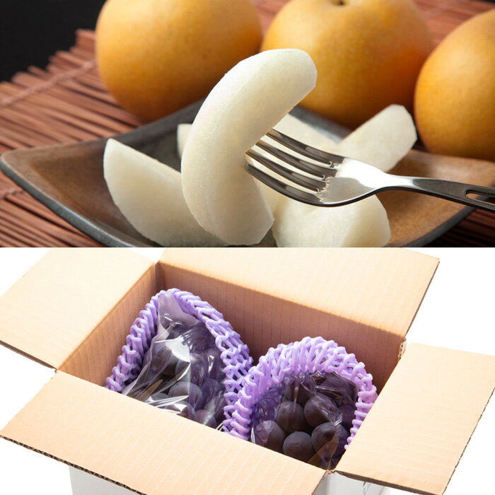 【ふるさと納税】【定期便6回】春夏秋冬・彩りフルーツ 【令和8年産先行予約】FU23-796 くだもの 果物 フルーツ 山形 山形県 山形市 お取り寄せ 2026年産 サムネイル3