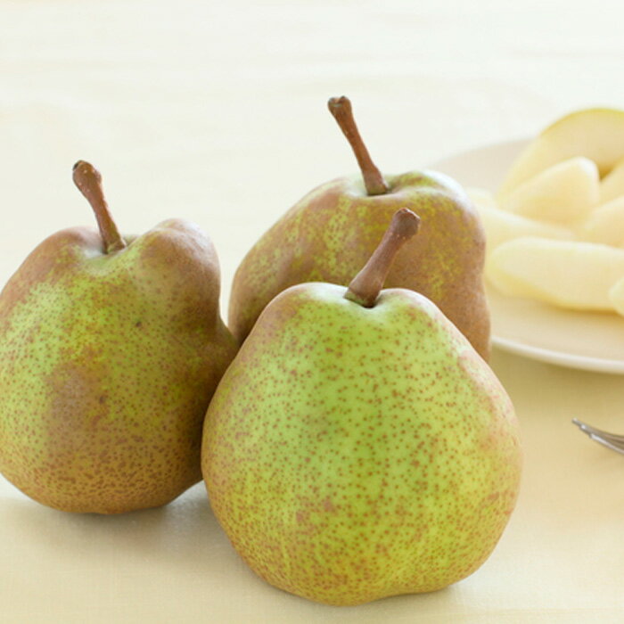 【ふるさと納税】【定期便2回】山形の　シャインマスカット＆ラ・フランス【令和8年産先行予約】FU23-798くだもの 果物 フルーツ 山形 山形県 山形市 お取り寄せ 先行予約 2026年産 サムネイル3