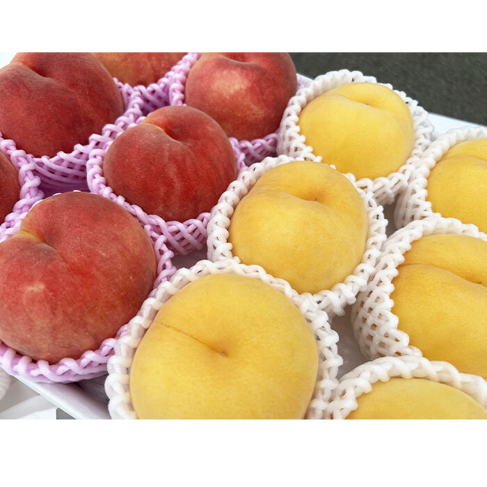 【ふるさと納税】山形市産 黄桃と白桃の2色セット 秀 3kg(硬め） 【令和8年産先行予約】FS23-848 くだもの 果物 フルーツ 山形 山形県 山形市 お取り寄せ 2026年産 - 画像2
