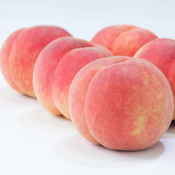 【ふるさと納税】【定期便3回】☆フルーツ王国山形☆紅秀峰・白桃・シャインマスカット 【令和8年産先行予約】FS25-664 くだもの 果物 フルーツ 山形 山形県 山形市 お取り寄せ 2026年産 サムネイル3