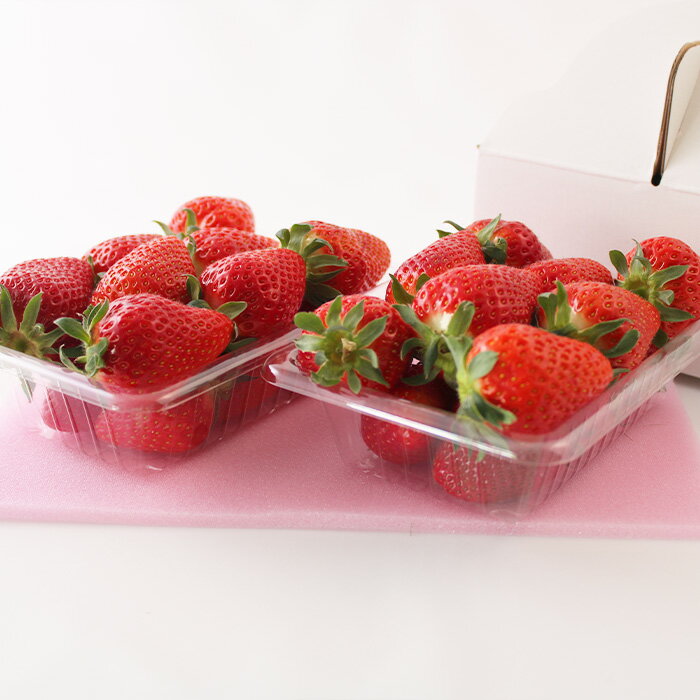 【ふるさと納税】【定期便3回】☆フルーツ王国山形☆いちご・紅秀峰・シャインマスカット 【令和8年産先行予約】FS25-666 くだもの 果物 フルーツ 山形 山形県 山形市 お取り寄せ 2026年産 サムネイル2