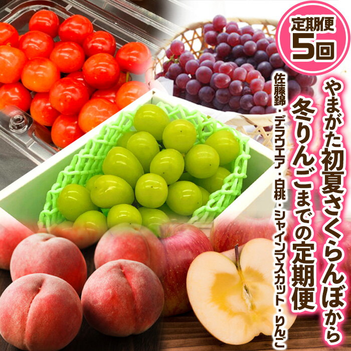 【定期便5回】やまがた ”初夏さくらんぼから冬りんご”までの5回定期便(佐藤錦・デラウエア・白桃・シャインマスカット・りんご) 【令和8年産先行予約】FS24-531 くだもの 果物 フルーツ 山形 山形県 山形市 お取り寄せ 2026年産