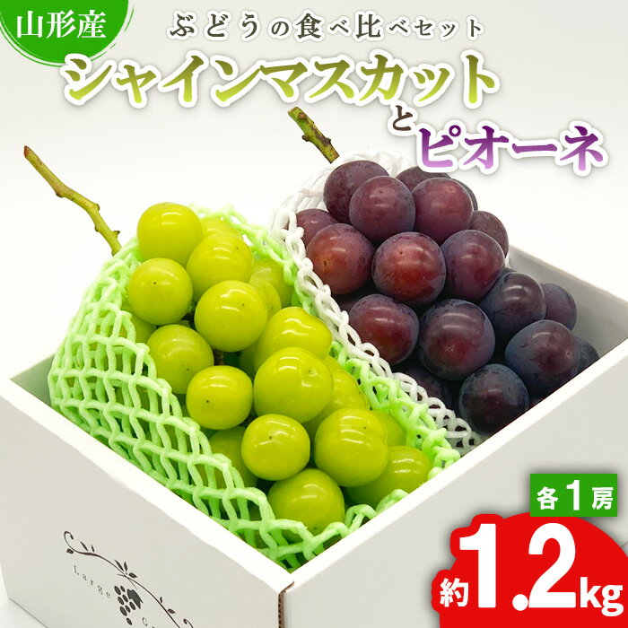 ★ぶどうの食べ比べセット★シャインマスカットとピオーネ 約1.2kg（各1房) 秀品 期間限定【令和8年産先行予約】FS24-526くだもの 果物 フルーツ 山形 山形県 山形市 お取り寄せ 先行予約 2026年産