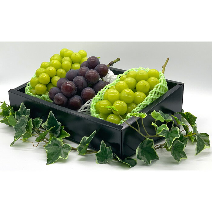 【ふるさと納税】【定期便3回】やまがた秀逸フルーツ 贈答品クラス 【令和8年産先行予約】FS24-532 くだもの 果物 フルーツ 山形 山形県 山形市 お取り寄せ 2026年産 サムネイル3