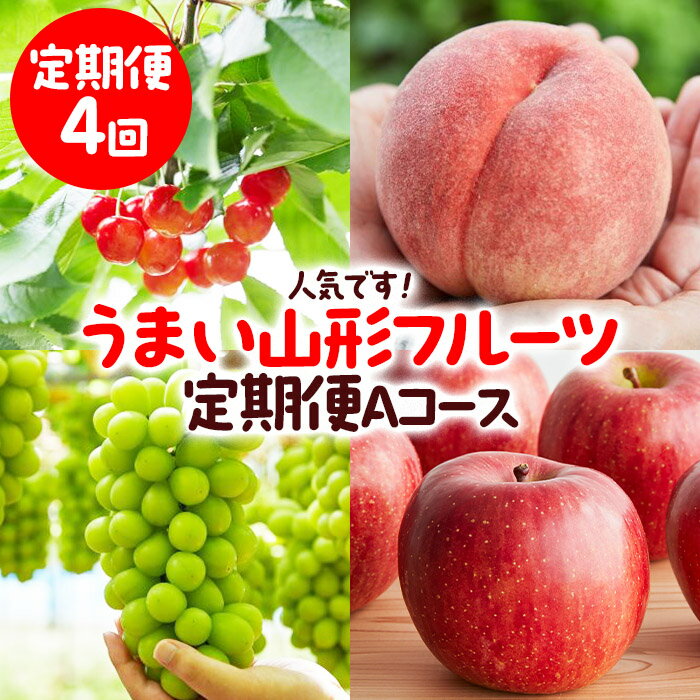 【定期便4回】人気です！うまい山形フルーツ定期便 Aコース 【令和8年産先行予約】FS23-851 くだもの 果物 フルーツ 山形 山形県 山形市 お取り寄せ 2026年産