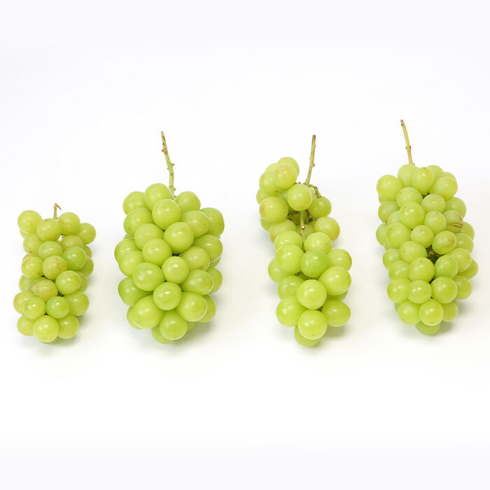 【ふるさと納税】☆フルーツ王国山形☆[訳あり] シャインマスカット1kg (1〜3房)[9月お届け] 【令和8年産先行予約】FS23-853 くだもの 果物 フルーツ 山形 山形県 山形市 お取り寄せ 2026年産 サムネイル2