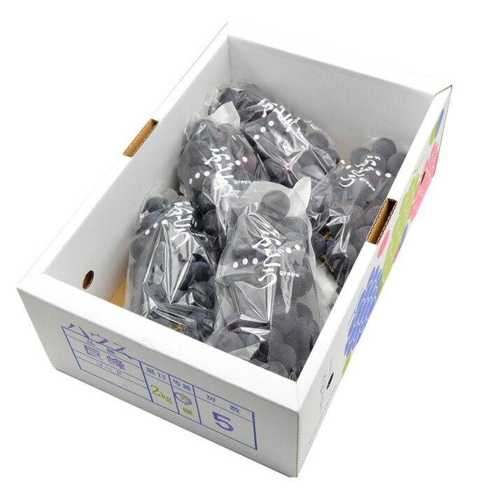 【ふるさと納税】山形のぶどう 巨峰 秀品 約2kg(3〜6房)[9月中旬〜10月中旬お届け]【令和8年産先行予約】FS24-652くだもの 果物 フルーツ 山形 山形県 山形市 お取り寄せ 先行予約 2026年産 サムネイル2