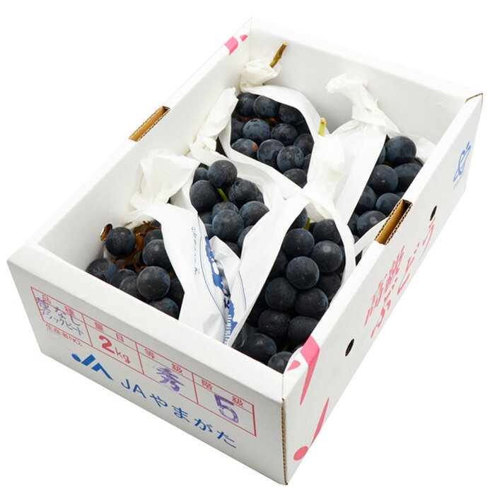 【ふるさと納税】山形のぶどう ブラックビート 秀品 約2kg(3〜6房)【令和8年産先行予約】FS24-653くだもの 果物 フルーツ 山形 山形県 山形市 お取り寄せ 先行予約 2026年産 - 画像2