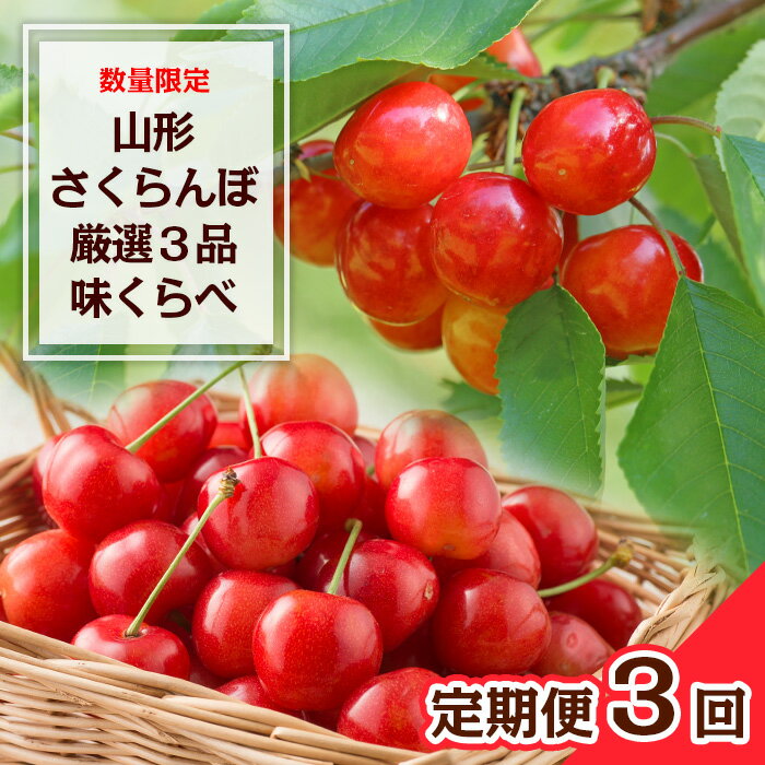 【定期便3回】数量限定 山形さくらんぼ 厳選3品味くらべ 【令和8年産先行予約】FS23-865 くだもの 果物 フルーツ 山形 山形県 山形市 2026年産