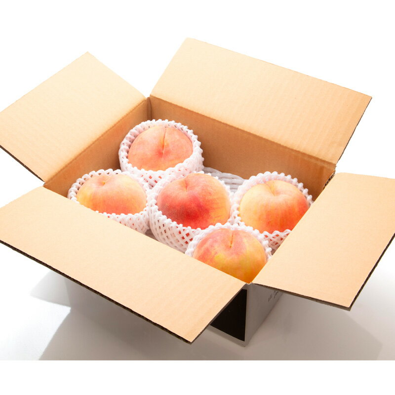 【ふるさと納税】【定期便3回】人気ベスト3 〜山形代表 赤の宝石〜【令和8年産先行予約】FS24-520くだもの 果物 フルーツ 山形 山形県 山形市 お取り寄せ 先行予約 2026年産 サムネイル3