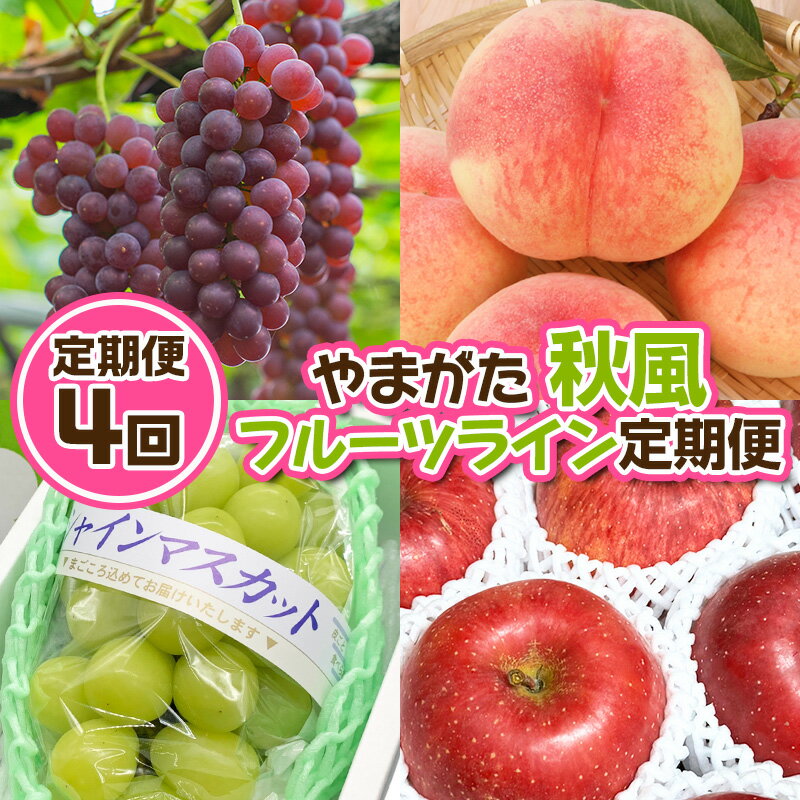 【定期便4回】やまがた 秋風フルーツライン定期便【令和8年産先行予約】FU23-878 くだもの 果物 フルーツ 山形 山形県 山形市 お取り寄せ 2026年産