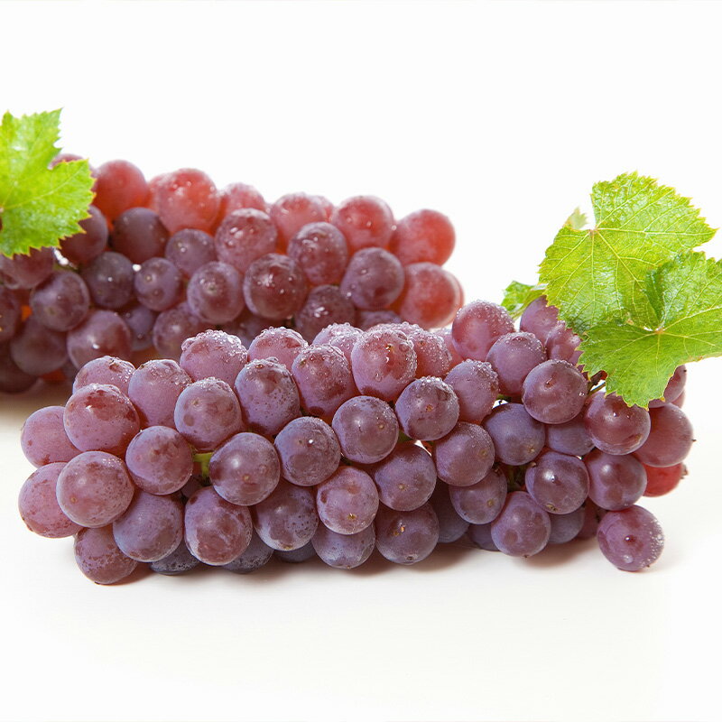 【ふるさと納税】【定期便4回】やまがた 秋風フルーツライン定期便【令和8年産先行予約】FU23-878 くだもの 果物 フルーツ 山形 山形県 山形市 お取り寄せ 2026年産 サムネイル2