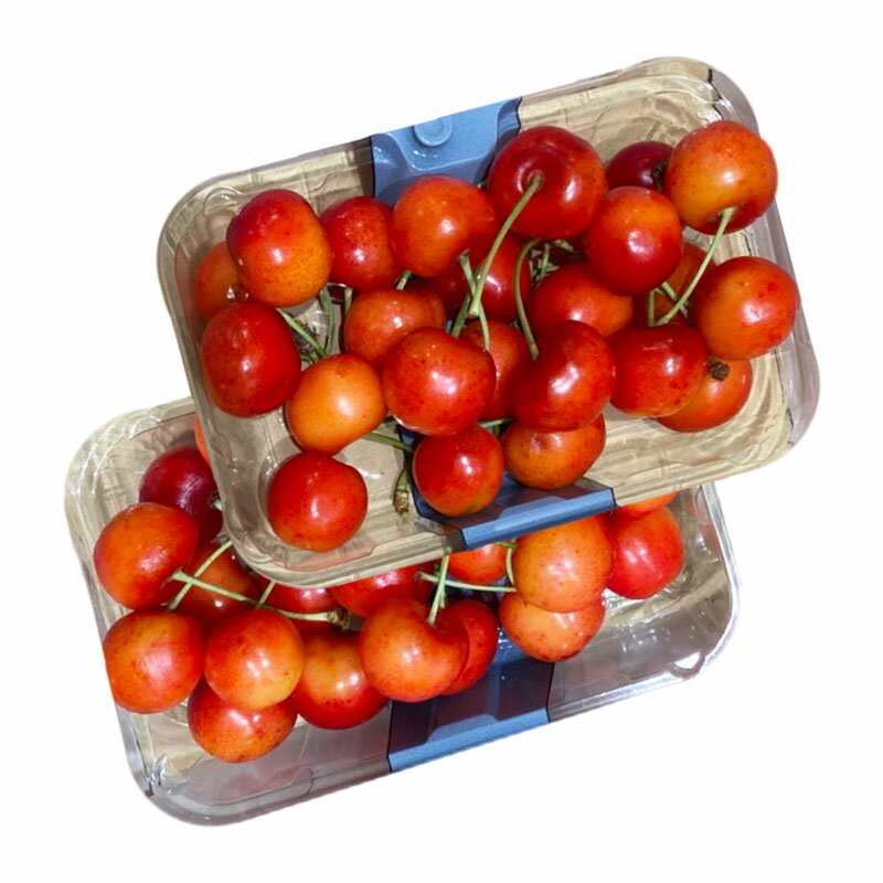 【ふるさと納税】やまがた さくらんぼ 紅秀峰 "希少な大粒" 2L〜3Lサイズ 360g(180g×2パック入り) 1箱【令和8年産先行予約】FS25-574 くだもの 果物 フルーツ 山形 山形県 山形市 お取り寄せ 2026年産 サムネイル2