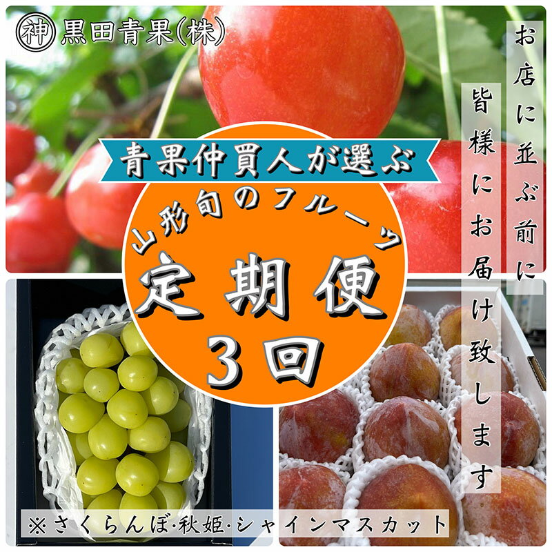 【定期便3回】青果仲買人が選ぶ！山形旬のフルーツ3選！[さくらんぼ・秋姫・シャインマスカット]【令和8年産先行予約】FS23-891くだもの 果物 フルーツ 山形 山形県 山形市 お取り寄せ 先行予約 2026年産