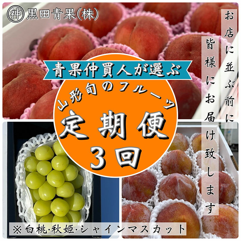 【定期便3回】青果仲買人が選ぶ！山形旬のフルーツ3選！[白桃・秋姫・シャインマスカット]【令和8年産先行予約】FS24-599くだもの 果物 フルーツ 山形 山形県 山形市 お取り寄せ 先行予約 2026年産