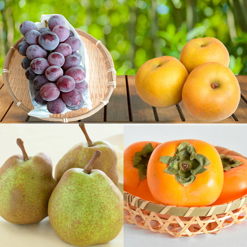 【ふるさと納税】【定期便4回】6種を味わうフルーツの楽園B【令和8年産先行予約】FS25-622 くだもの 果物 フルーツ 山形 山形県 山形市 お取り寄せ 2026年産 サムネイル3