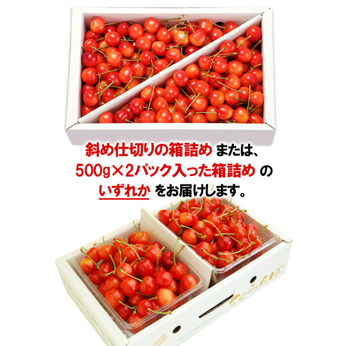 【ふるさと納税】山形のさくらんぼ 佐藤錦 1kg Lサイズ以上 バラ詰 【令和8年産先行予約】FS25-513 くだもの 果物 フルーツ 山形 山形県 山形市 お取り寄せ 2026年産 サムネイル2