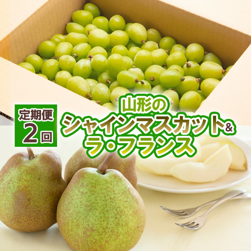【定期便2回】山形の　シャインマスカット＆ラ・フランス【令和8年産先行予約】FU23-798くだもの 果物 フルーツ 山形 山形県 山形市 お取り寄せ 先行予約 2026年産