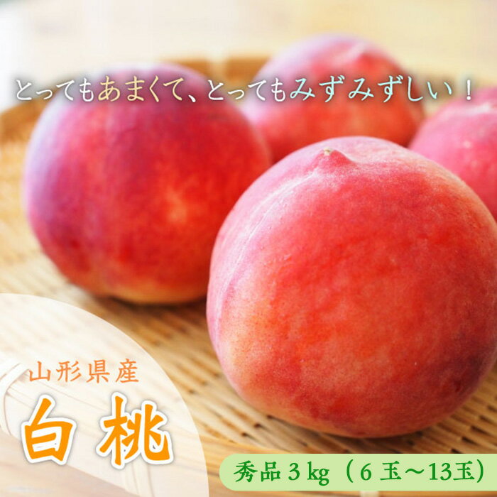 山形市産 白桃 [柔らかくなる桃] 秀品 約3kg (6玉〜13玉)【令和8年産先行予約】FU23-573くだもの 果物 フルーツ 山形 山形県 山形市 お取り寄せ 先行予約 2026年産