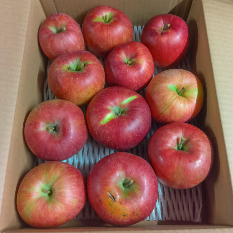 【ふるさと納税】【品種が選べる！】[家庭用]山形産 りんご 3kg (7〜12玉)【令和8年産先行予約】 FS25-767 FS25-768 FS25-769 FS25-770 自宅用 家庭用 訳あり りんご わけあり - 画像3