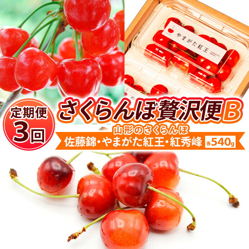 【定期便3回】【さくらんぼ贅沢便B】山形のさくらんぼ 佐藤錦・やまがた紅王・紅秀峰 各540g×3回 【令和8年産先行予約】FS25-001