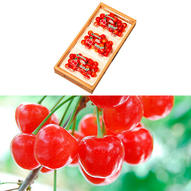 【ふるさと納税】【定期便3回】【さくらんぼ贅沢便B】山形のさくらんぼ 佐藤錦・やまがた紅王・紅秀峰 各540g×3回 【令和8年産先行予約】FS25-001 サムネイル2