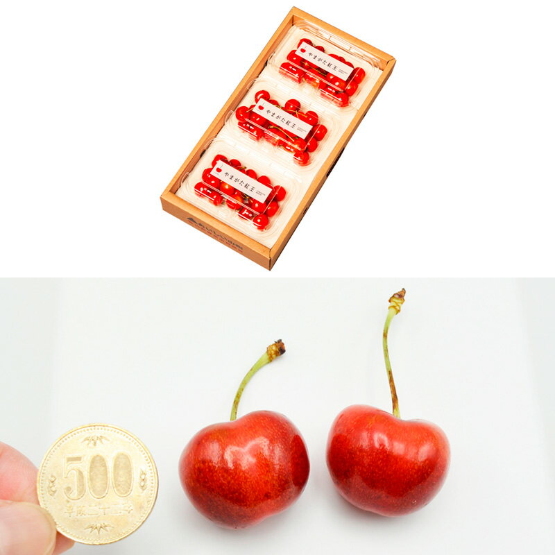 【ふるさと納税】【定期便3回】【さくらんぼ贅沢便B】山形のさくらんぼ 佐藤錦・やまがた紅王・紅秀峰 各540g×3回 【令和8年産先行予約】FS25-001 サムネイル3