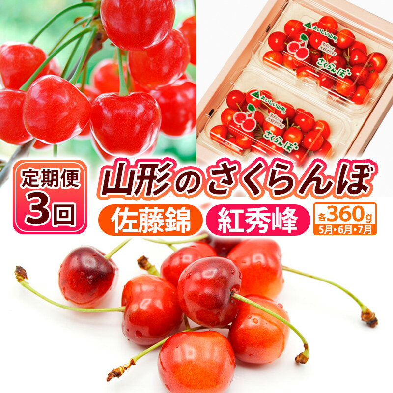 【定期便3回】山形のさくらんぼ 佐藤錦・紅秀峰 各360g×3回[5月・6月・7月] 【令和8年産先行予約】FS25-007