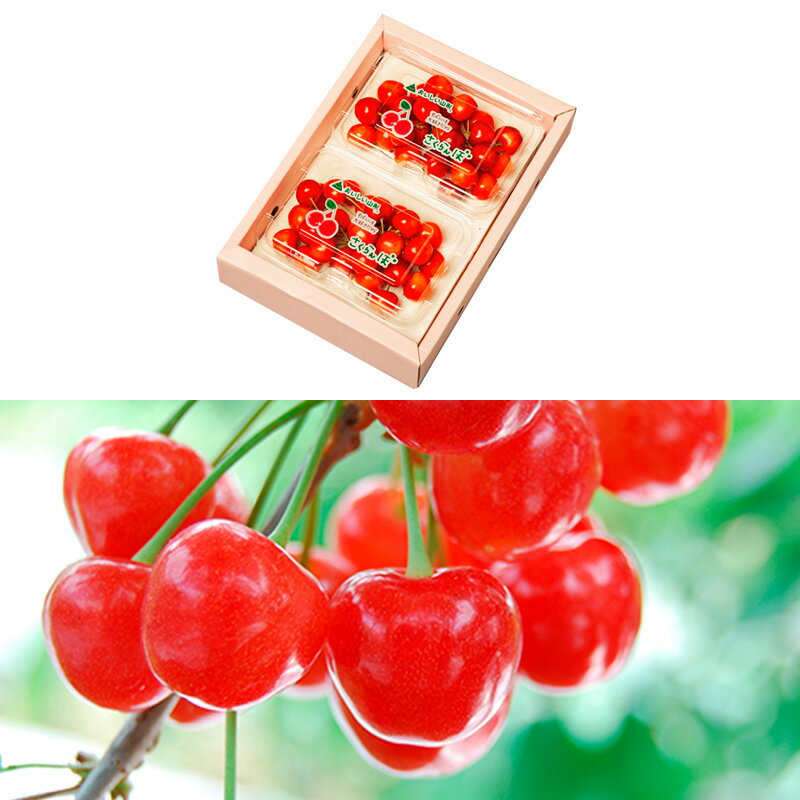 【ふるさと納税】【定期便3回】山形のさくらんぼ 佐藤錦・紅秀峰 各360g×3回[5月・6月・7月] 【令和8年産先行予約】FS25-007 サムネイル2